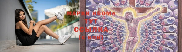 стаф Протвино