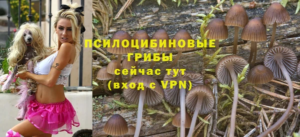 экстази Пролетарск