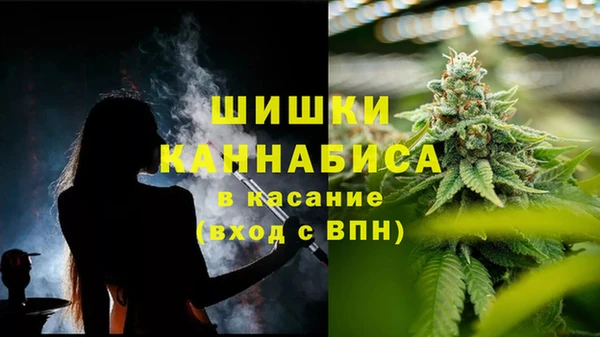 стаф Протвино