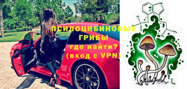 стаф Протвино
