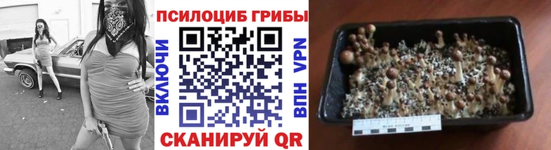 Псилоцибиновые грибы Magic Shrooms  площадка клад  Собинка 